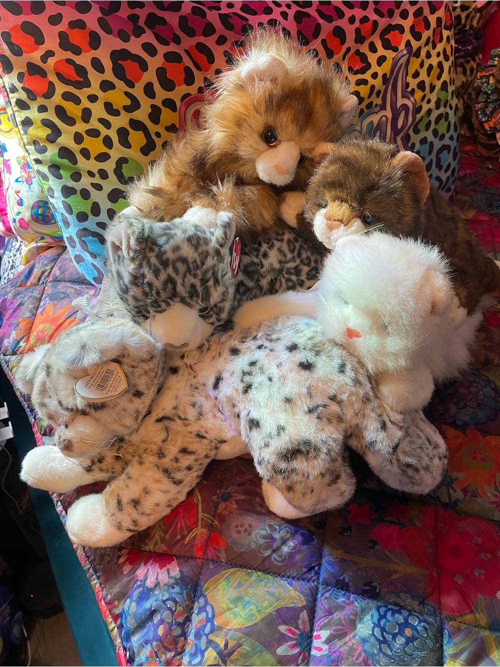 Ty bundle of 5 cats plush